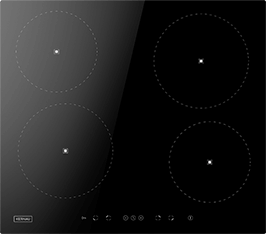 Induktionsfeld Reparatur Frankenthal